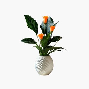 أدوات المنزل والحديقة