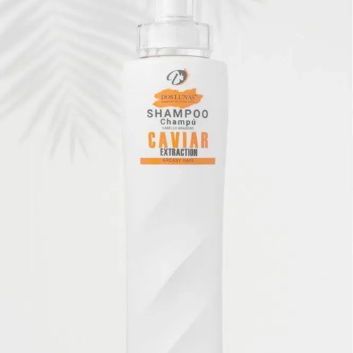 شامبو للشعر الدهني كافيار